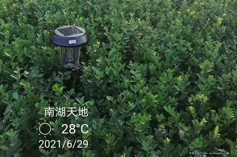 與太陽(yáng)能滅蚊燈一起打卡嘉興南湖天地